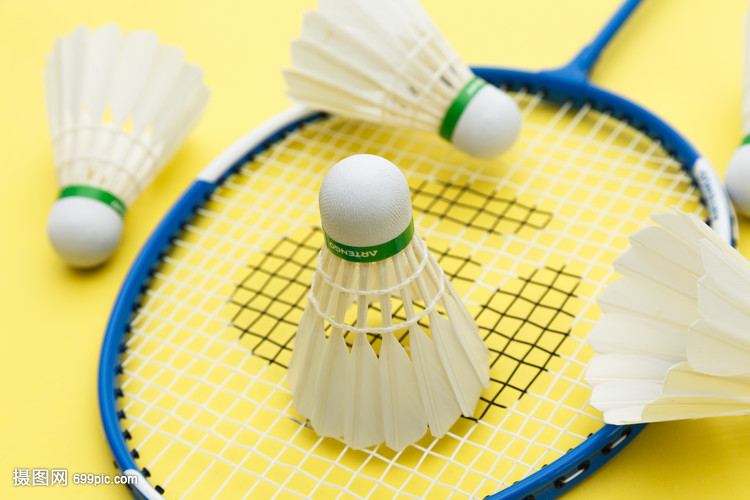 他的控网能 他的控网能