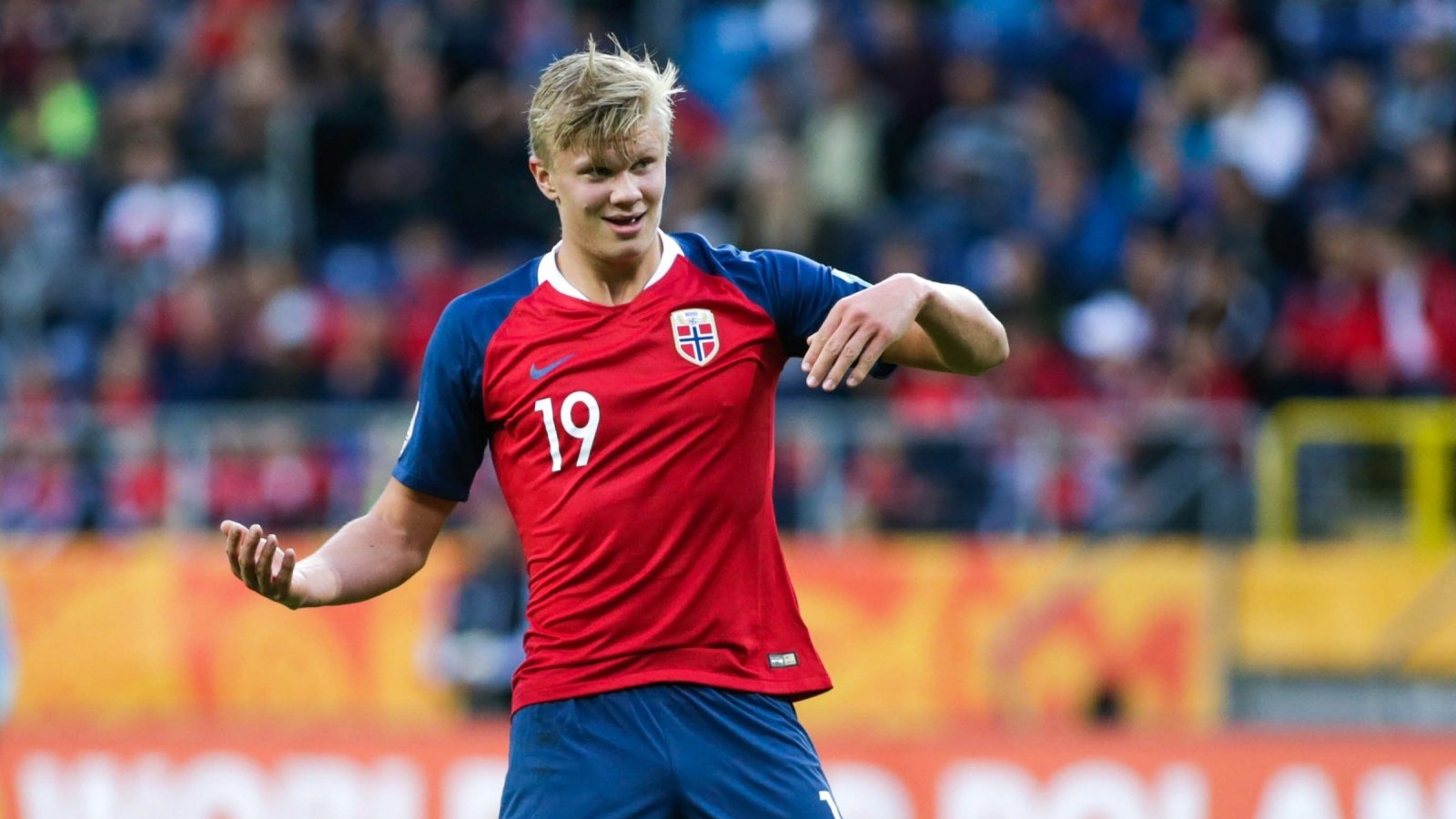 能存在小幅 能存在小幅